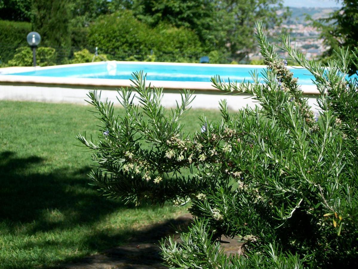 B&B Luna Blu Montesilvano Marina Εξωτερικό φωτογραφία