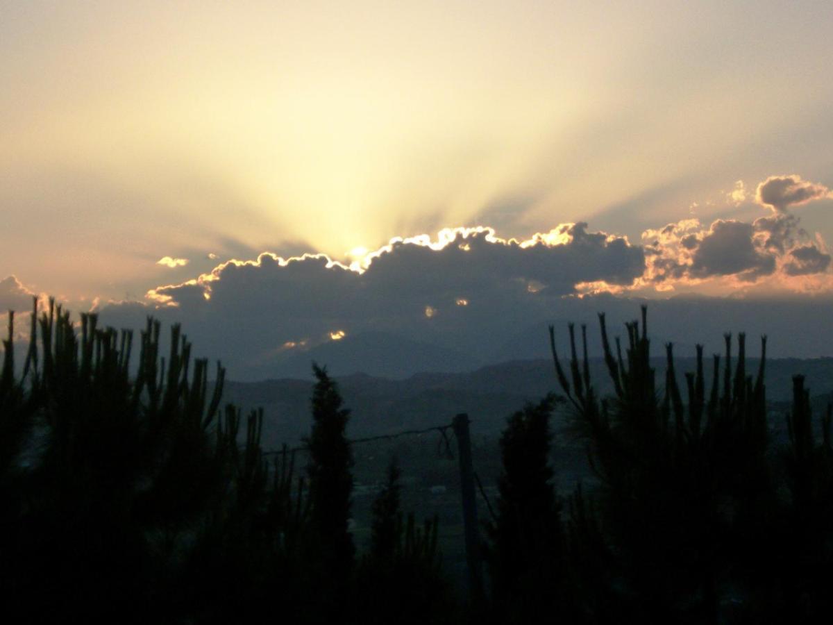 B&B Luna Blu Montesilvano Marina Εξωτερικό φωτογραφία