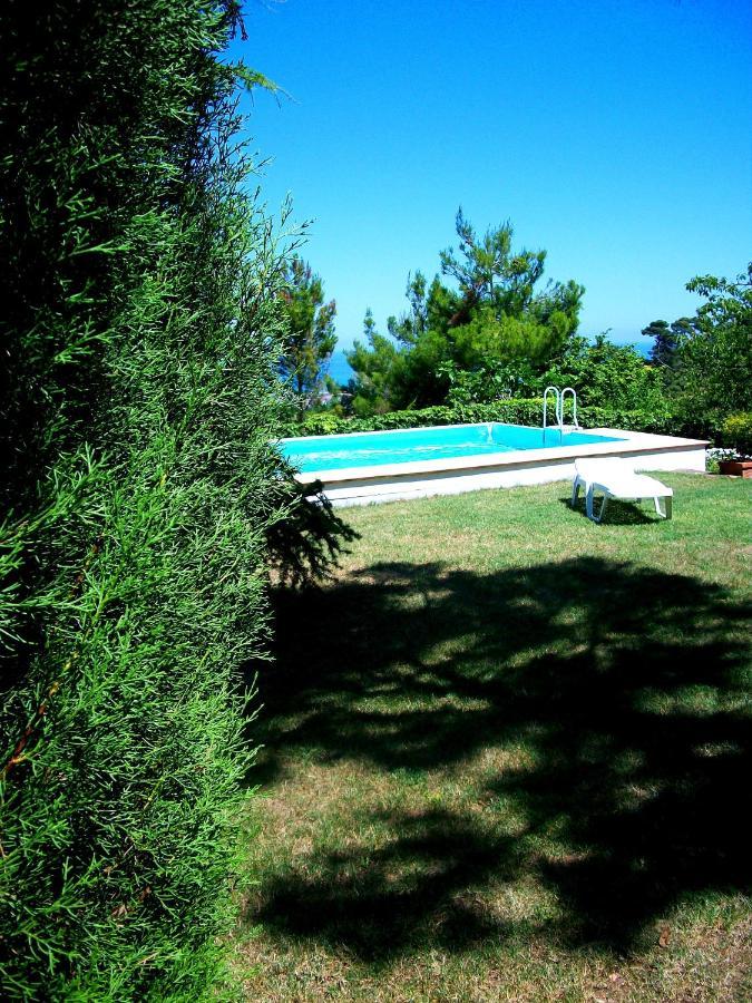 B&B Luna Blu Montesilvano Marina Εξωτερικό φωτογραφία