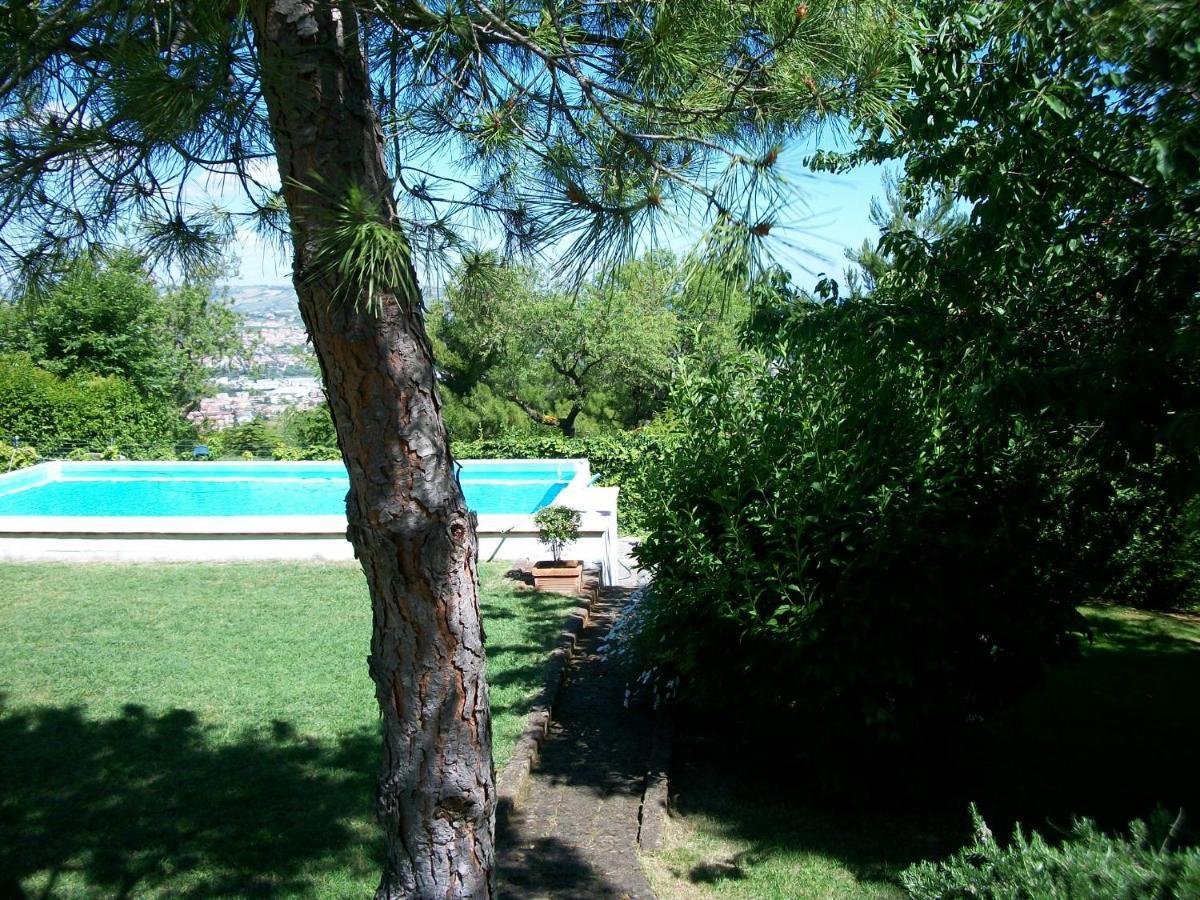 B&B Luna Blu Montesilvano Marina Εξωτερικό φωτογραφία